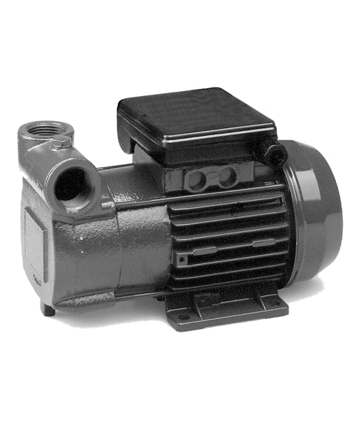 Pentair PGA Self Priming Diesel Transfer Pump (Replaces Nocchi PGA ...
